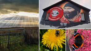 CAMERA CLUB: Derry readers fantastic pictures in the frame