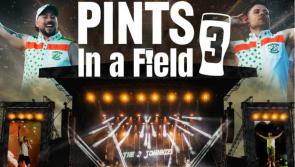 The 2 Johnnies Pints in a Field 3: All you need to know for Saturday's St Anne's Park gig
