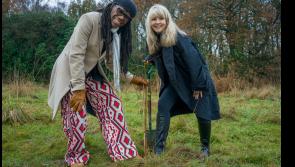 American music legend throws his weight behind woodland in County Derry