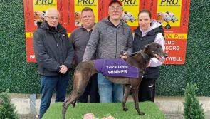 Derry Greyhounds: Church St was on Fire in Bill McKinney Memorial 500