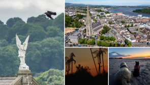 CAMERA CLUB: Stunning views of Derry captured by readers