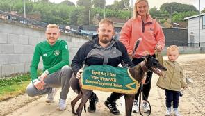 Derry Greyhounds: Catunda Quinn wins Signet Ace at Stud Trophy