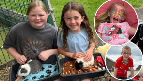 IN PICTURES: Lincoln Courts host annual 'Community Festival Fun Day'