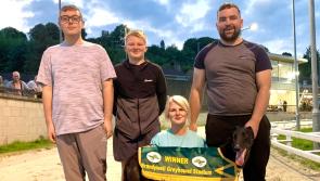 Derry Greyhounds: Three in a row for Knockavilla Jet in Edgar Memorial  heats at Brandywell