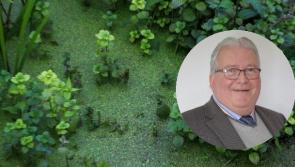 UUP urges assembly to combat pollution 