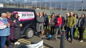 Peaceful protest at Magiligan prison regarding the protection of pooches