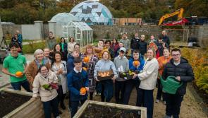 Local pupils celebrate World Food Day at Acorn Farm