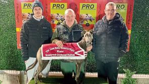Derry Greyhounds: Sizzling performance by Ballygloss  Angus to win Liam Melly Memorial Final