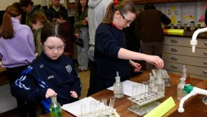 IN PICTURES: St Patrick's and St Brigid's College annual Open Night