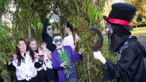 IN PICTURES: Hollybush PS pupils Halloween Haunt and Jaunt