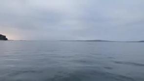WATCH: RNLI Lough Swilly volunteers capture dolphins off the coast of Donegal