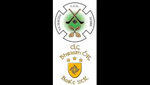 GAA clubs leased Ballyarnett land by Derry City and Strabane District Council