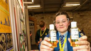 Derry students take home prize at BT Young Scientist & Technology Exhibition 2023
