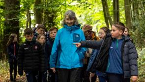 IN PICTURES: County Derry pupils explore 10,000 years of human settlement in Mountsandel Woods