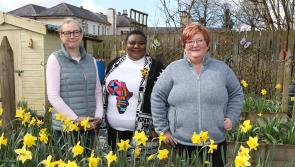 Derry Social Workers making a change in the local community