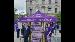 Foyle AMH New Horizons host purple picnic to help smash mental health stigmas and start conversations