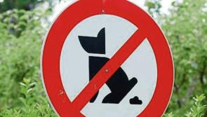 Committee expresses concern over animal welfare issues
