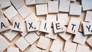 Free stress control classes being held online to help people who are struggling at the moment
