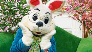 Derry gallery hosting online workshops to keep kids busy over Easter 