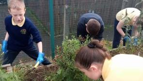 EcoLive: Green finger success for Derry pupils