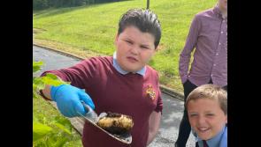EcoLive: Derry school doing their bit to make the community more Eco Friendly