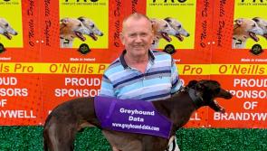 Derry Greyhounds: Ardfert is a bright Spark for Oliver Canavan