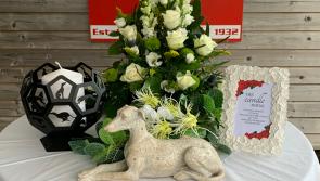 Derry Greyhounds: Beautiful Peggy honours her namesake on Remembrance Night