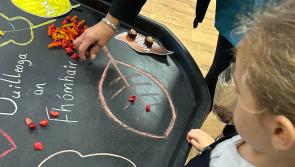  Derry Irish-medium Education has it all: Naíscoil, bunscoil agus meánscoil