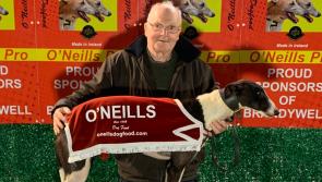 Derry Greyhounds: Old Bleach cleans up at the Brandywell