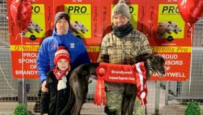 IN PICTURES: Recent Derry winners from Brandywell Greyhound Track