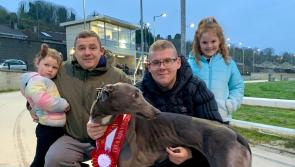 Derry Greyhounds: Sniper Kennels on target with a winning treble