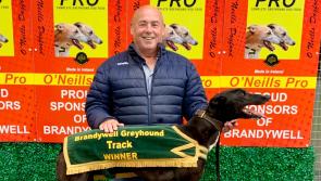 Derry Greyhounds: Beautiful Peggy gives Michael Feeney his 100th winner