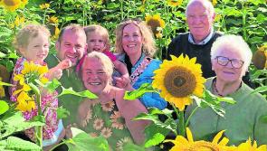 Thousands visit 'Field of Hope' in memory of Mullan family