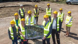 Preparation works underway at Derry acorn site