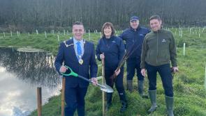 Loughs Agency launches new project aimed at protecting Derry's rivers and trees