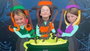 IN PICTURES: Halloween fun at Lincoln Courts