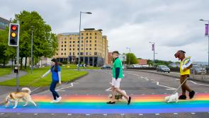 Derry charity to host ‘Paws for Thought’ annual doggie walk