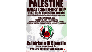 Palestine: What Can Derry Do?
