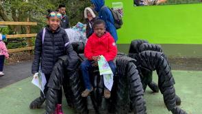IN PICTURES: North West Migrants Forum marks end of Ramadan with Belfast zoo trip