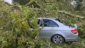 WATCH: Lucky escape as family’s car hit by tree in Limavady during Storm Amy