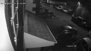VIDEO: Watch as brazen vandal is caught on camera damaging vehicles in Dungiven estate
