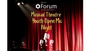 Derry's Millennium Forum to host Youth Open Mic Night