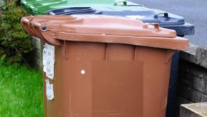 Derry's council to distribute 12,000 brown bins over the coming weeks to help people dispose of garden waste