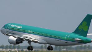 Aer Lingus flight makes emergency return to Dublin as 'engine fumes' see crew hospitalised