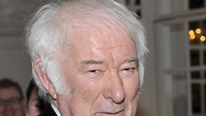  Routing of A6 through Heaney country is 'ecocide', says conservationist