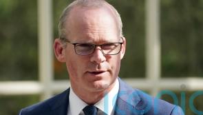 Four Russian officials told to leave Ireland following security advice