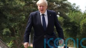 Plan to rip up Northern Ireland Brexit deal could be law by end of year – PM