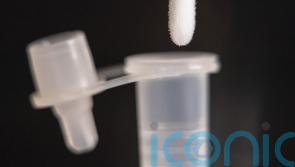 Covid-19 infections in UK jump by more than half a million in a week