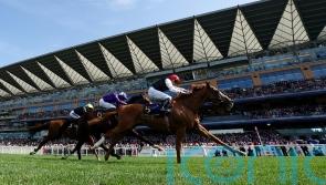 Aidan O’Brien preparing healthy Goodwood squad