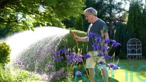 What is your water company doing to cope with the dry weather?
